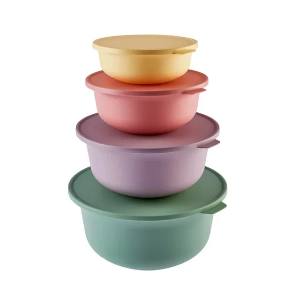 Forbs 4-Piece Plastic 2-in-1 Storage Container Set, 1L, Multi
